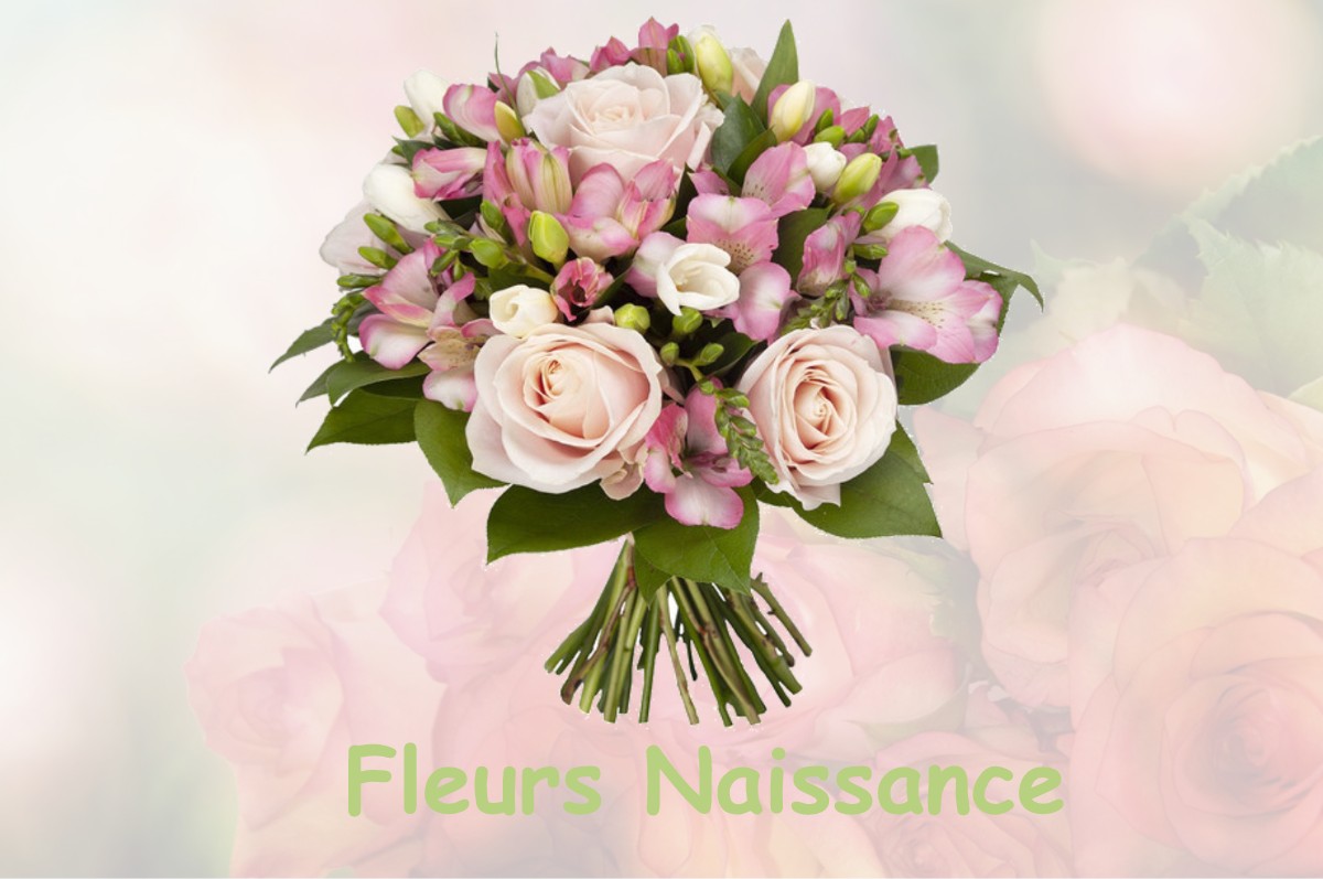 fleurs naissance PANISSAGE