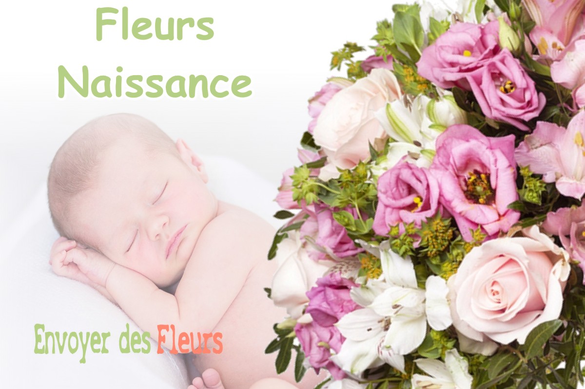 lIVRAISON FLEURS NAISSANCE à PANISSAGE